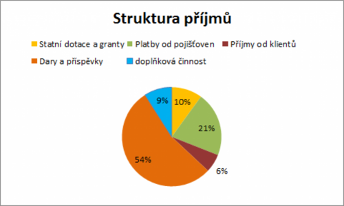 Struktura příjmů Centra Paraple