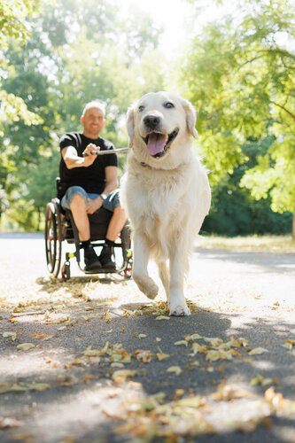 Virtuální běh pro Paraple 2025
